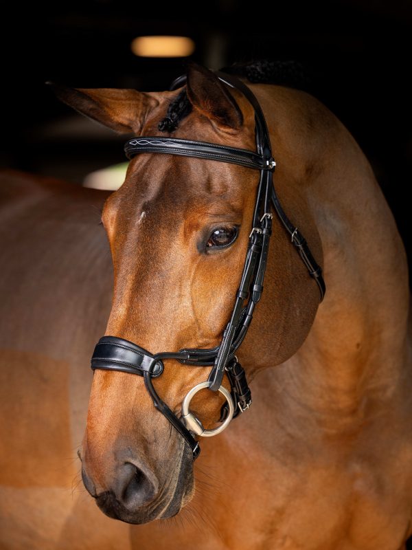 Kudos Clear Arc Bridle Black/Silver
