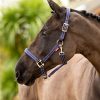 Essential Yard Headcollar Navy - Imagen 2