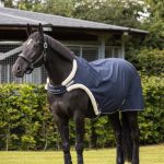 Walker Rug Navy