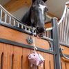 Horse Toy Flying Pig - Imagen 3