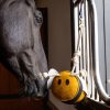 Horse Toy Bee - Imagen 2