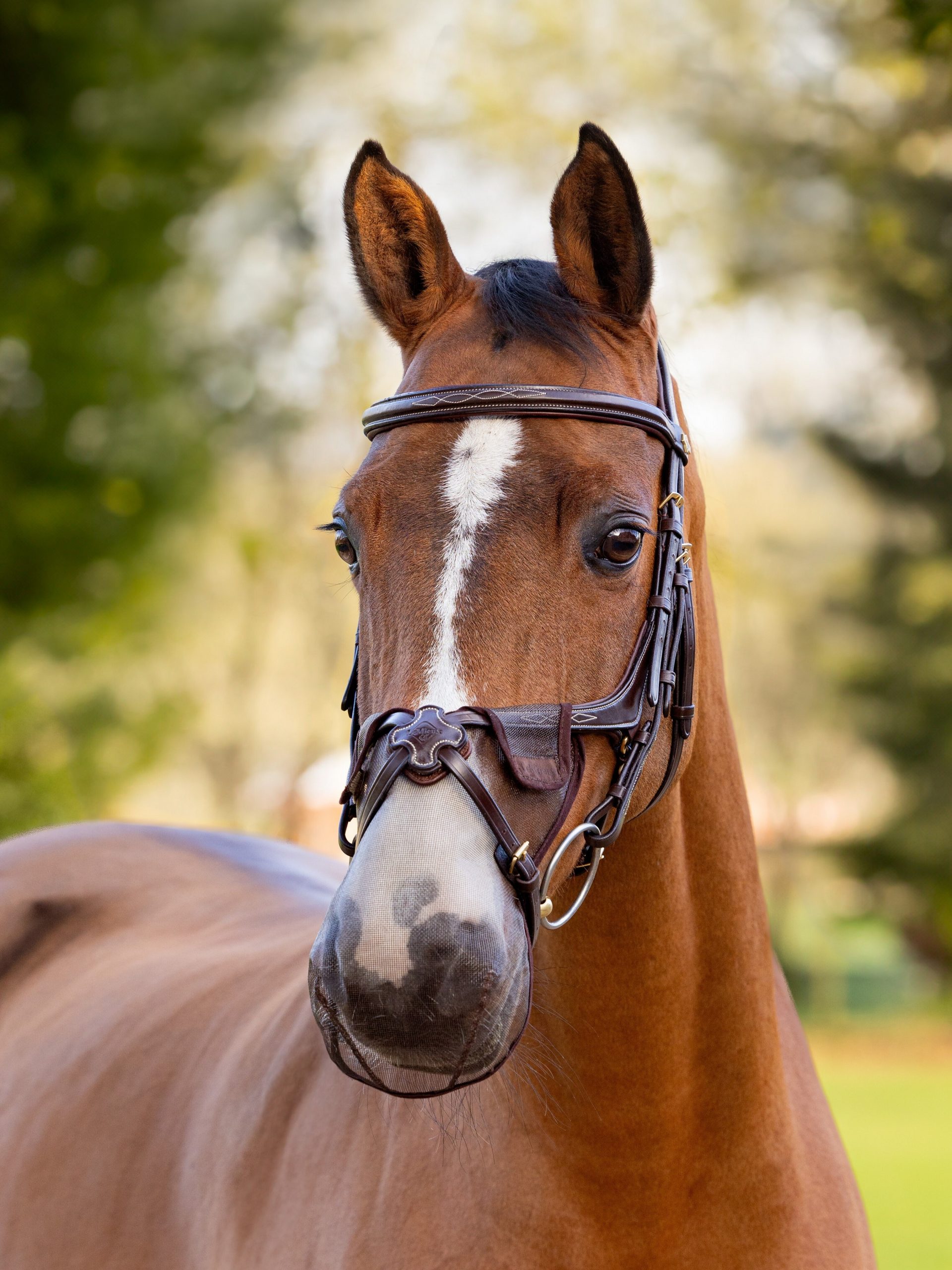 Comfort Shield Grackle Nose Filter 2pk Brown - Imagen 2