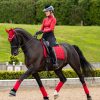 Loire Dressage Square Chilli - Imagen 3