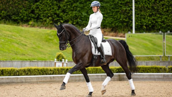Loire Dressage Square White