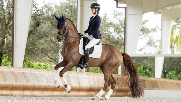 ProSorb Plain 2 Pocket Dressage Square White