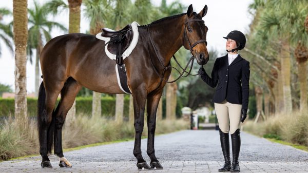 Merino+ ProSorb Hunter Saddle Pad White/White