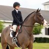 Stitched Hunter Bridle with Laced Reins Havana/Silver - Imagen 3