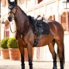 Merino+ Half Lined Suede Dressage Square Black/Black - Imagen 2