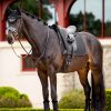 Merino+ Half Lined Dressage Square Black/Black - Imagen 2