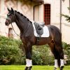 Merino+ Half Lined Dressage Square White/White - Imagen 2