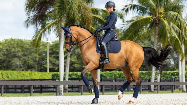 ProSorb Plain 2 Pocket Dressage Square Navy