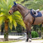 Tapis de selle ProSorb Plain 2 Poches CSO Navy
