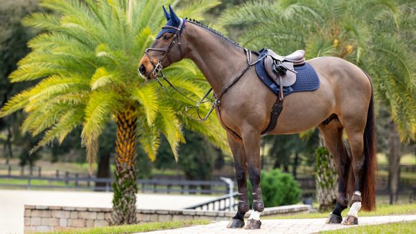 Tapis de selle ProSorb Plain 2 Poches CSO Navy