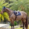 Tapis de selle ProSorb Plain 2 Poches CSO Navy - Imagen 3