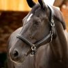 Leather Crystal Headcollar Black - Imagen 2