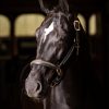 Leather Crystal Headcollar Brown - Imagen 2