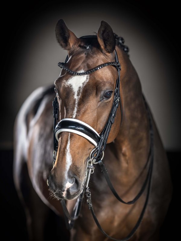 Kudos Double Bridle Black/White