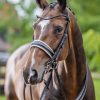 Kudos Double Bridle Black/White - Imagen 3
