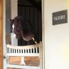 Hobby Horse Valegro - Imagen 3