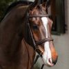 Stitched Hunter Bridle with Laced Reins Havana/Silver - Imagen 2