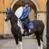 Badminton Dressage Square Blue - Imagen 3