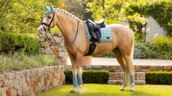 Loire Classic Dressage Square Aqua