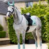 Loire Classic Dressage Square Aqua - Imagen 3