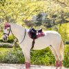 Loire Classic GP Square Peony - Imagen 3