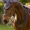 Loire Fly Hood Dusk Blue - Imagen 2