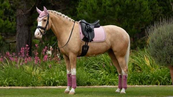 Suede Dressage Square Blossom