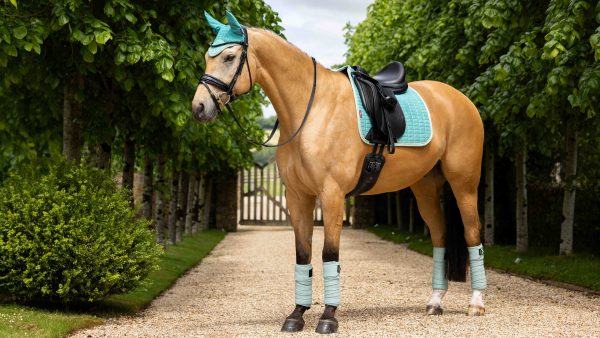 Suede Dressage Square Lagoon