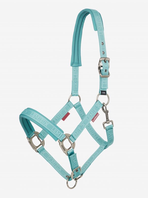 Logo Headcollar Lagoon