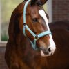 Logo Headcollar Lagoon - Imagen 2