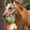 Mini Vogue Headcollar & Leadrope Peony - Imagen 2