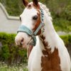 Mini Vogue Headcollar & Leadrope Aqua - Imagen 2
