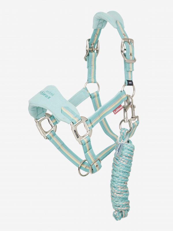 Mini Vogue Headcollar & Leadrope Aqua