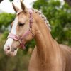 Vogue Headcollar & Leadrope Blossom - Imagen 2