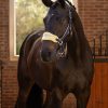 Vogue Headcollar & Leadrope Mimosa - Imagen 2