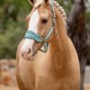 Vogue Headcollar & Leadrope Lagoon - Imagen 2