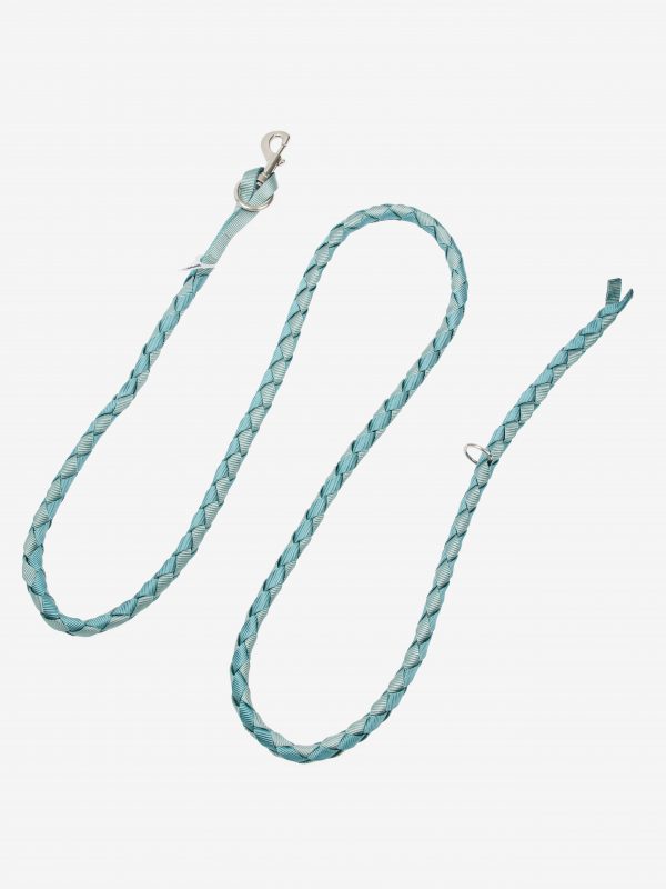 Harlequin Leadrope Aqua