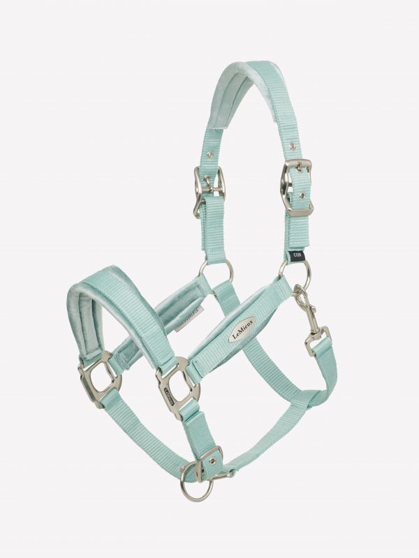 Versailles Headcollar Aqua