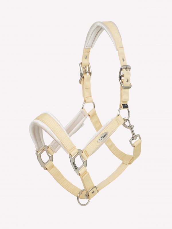 Versailles Headcollar Mimosa
