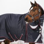 Kudos Turnout Rug 200g Navy