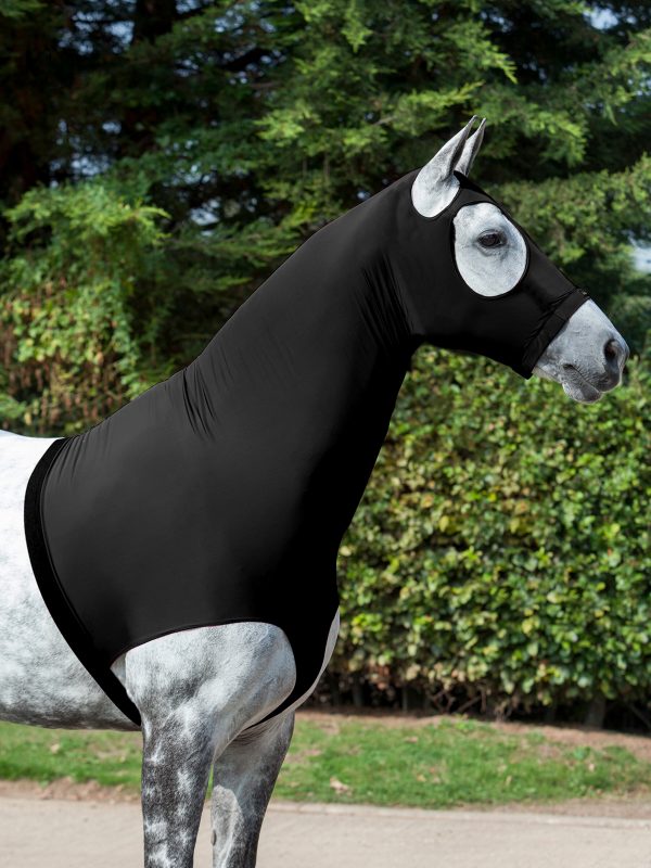 Stretch Hood Black