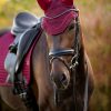 Diamante Acoustic Fly Hood Burgundy - Imagen 2