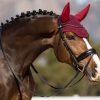 Diamante Acoustic Fly Hood Burgundy - Imagen 3
