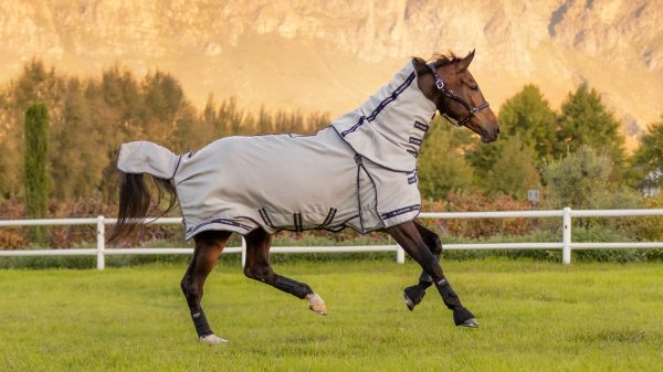 Kudos Gladiator Fly Rug Silver
