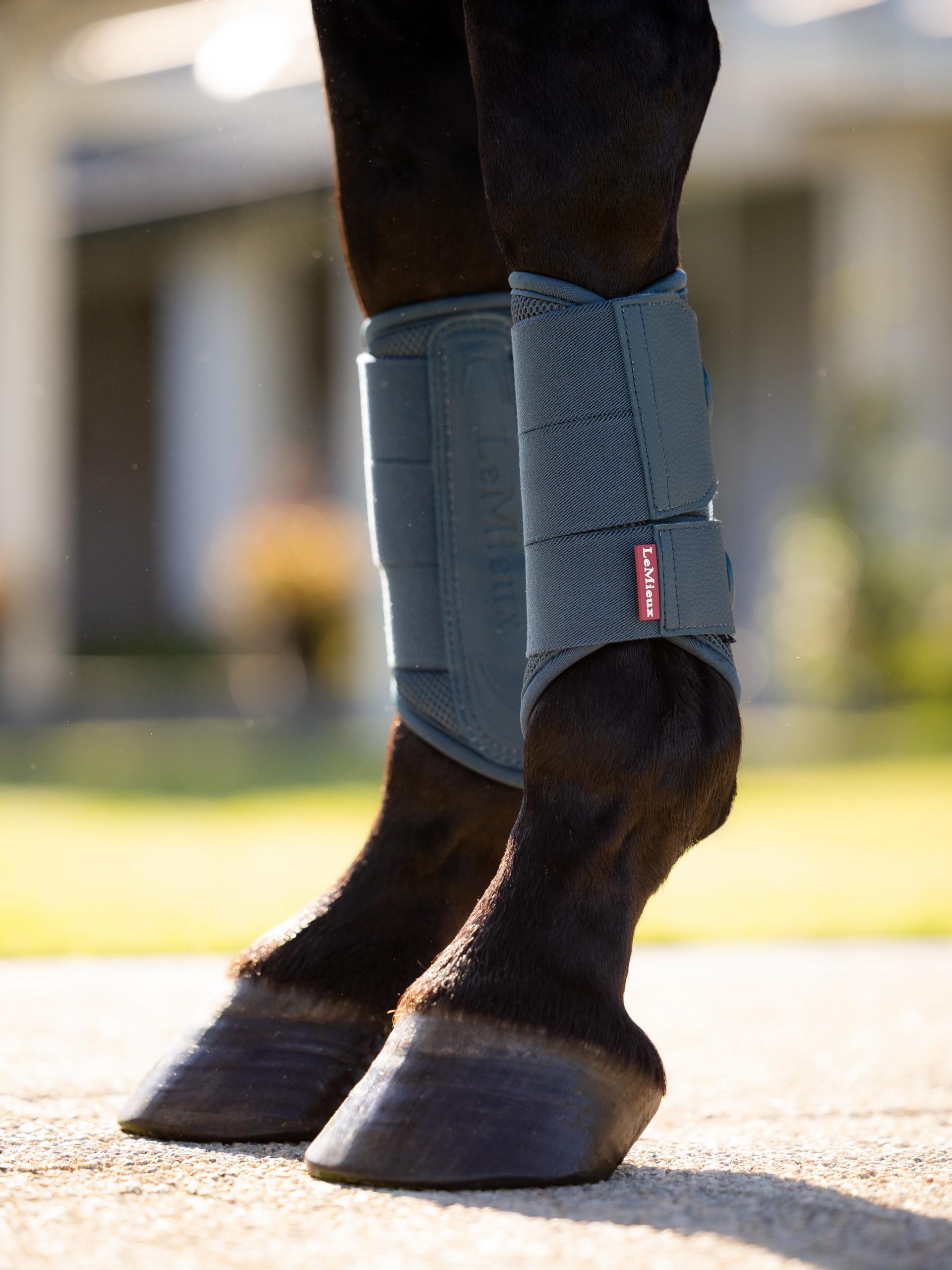 Lemieux Arika Mesh Brushing Protectores - Imagen 4