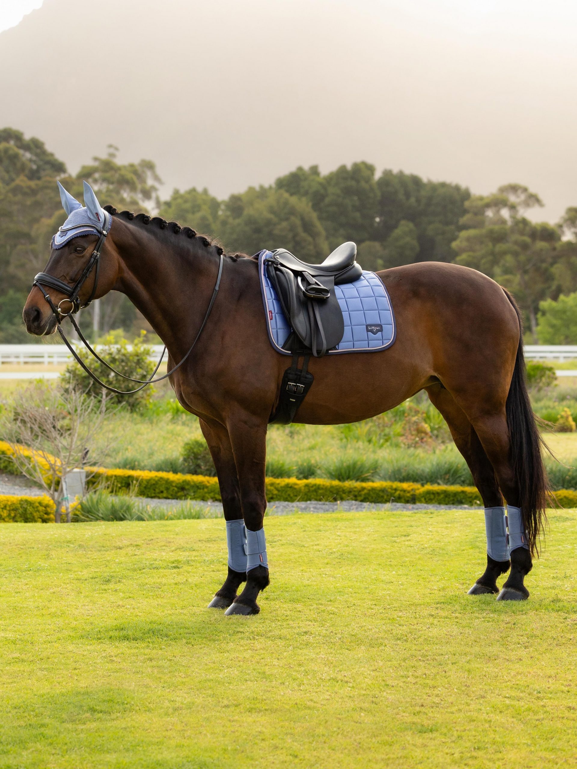 Lemieux Loire Classic Sudadero Doma - Imagen 4