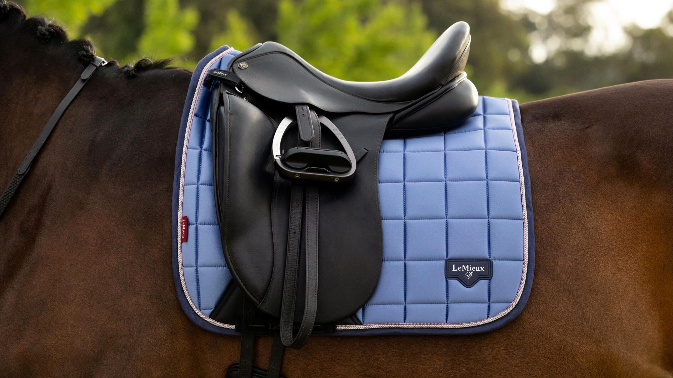 Lemieux Loire Classic Sudadero Doma - Imagen 3